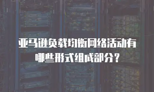 亚马逊负载均衡网络活动有哪些形式组成部分？