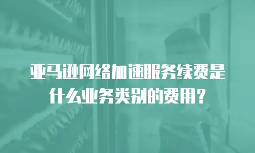 亚马逊网络加速服务续费是什么业务类别的费用？