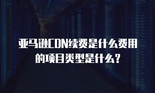 亚马逊CDN续费是什么费用的项目类型是什么？