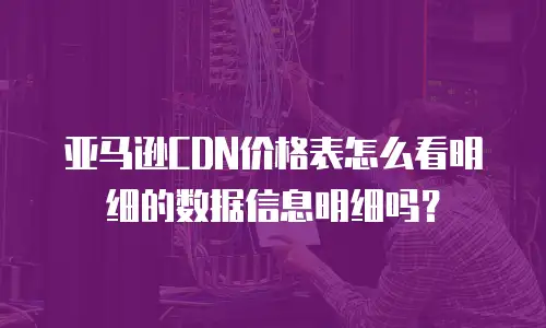 亚马逊CDN价格表怎么看明细的数据信息明细吗？