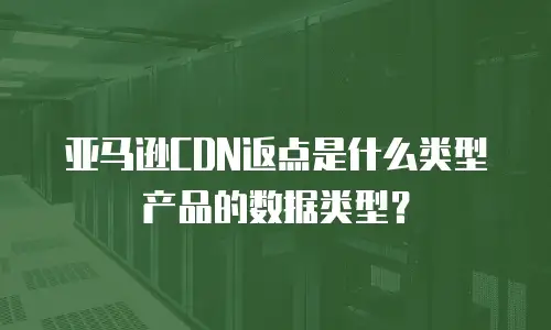 亚马逊CDN返点是什么类型产品的数据类型？