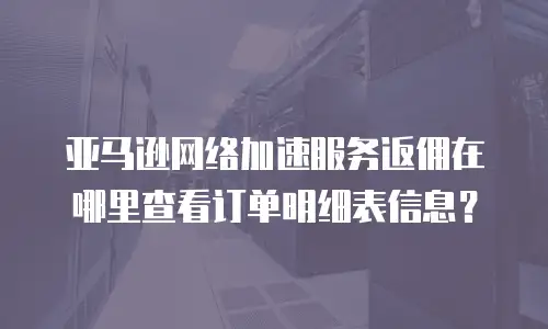 亚马逊网络加速服务返佣在哪里查看订单明细表信息？
