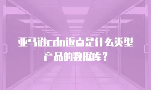亚马逊cdn返点是什么类型产品的数据库？