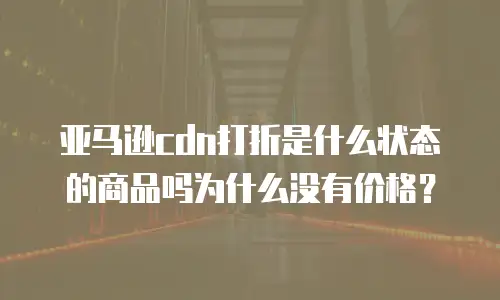 亚马逊cdn打折是什么状态的商品吗为什么没有价格？