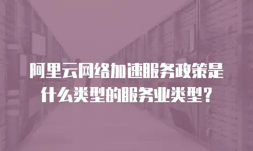 阿里云网络加速服务政策是什么类型的服务业类型？