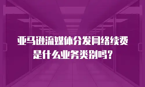 亚马逊流媒体分发网络续费是什么业务类别吗？
