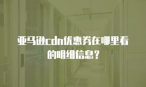 亚马逊cdn优惠券在哪里看的明细信息？