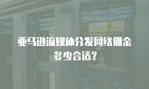 亚马逊流媒体分发网络佣金多少合适？