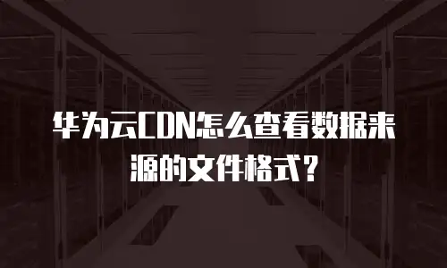 华为云CDN怎么查看数据来源的文件格式？