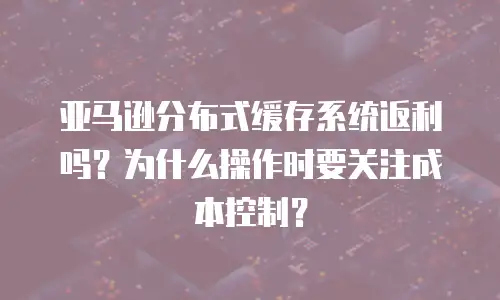 亚马逊分布式缓存系统返利吗？为什么操作时要关注成本控制？