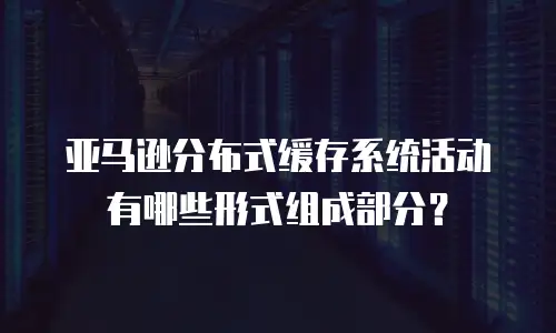 亚马逊分布式缓存系统活动有哪些形式组成部分？