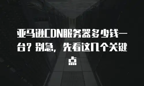 亚马逊CDN服务器多少钱一台？别急，先看这几个关键点