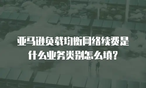 亚马逊负载均衡网络续费是什么业务类别怎么填？