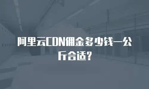 阿里云CDN佣金多少钱一公斤合适？