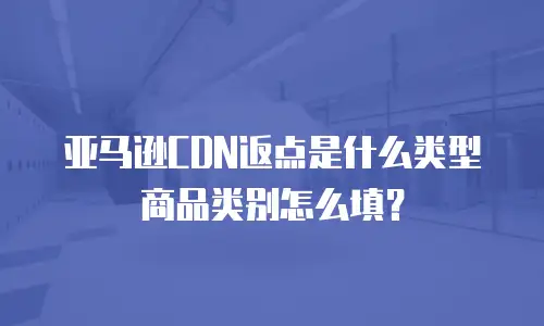 亚马逊cdn返点是什么类型商品类别怎么填？