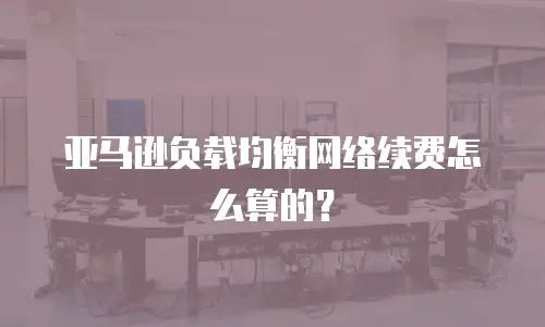 亚马逊负载均衡网络续费怎么算的？