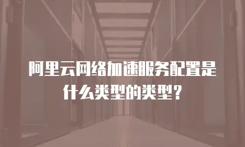 阿里云网络加速服务配置是什么类型的类型？