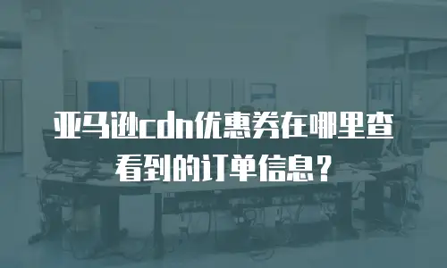 亚马逊cdn优惠券在哪里查看到的订单信息？