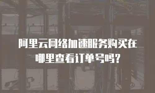 阿里云网络加速服务购买在哪里查看订单号吗？