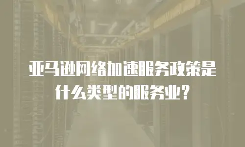 亚马逊网络加速服务政策是什么类型的服务业？