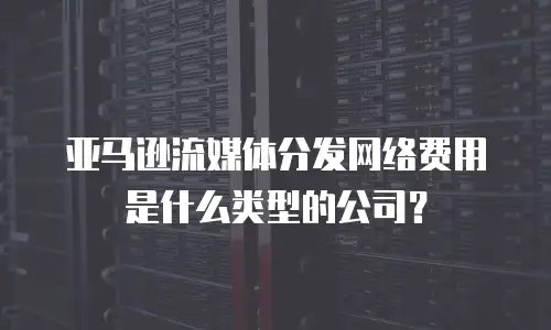 亚马逊流媒体分发网络费用是什么类型的公司？