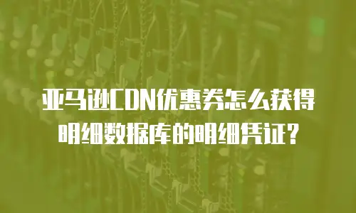 亚马逊CDN优惠券怎么获得明细数据库的明细凭证？