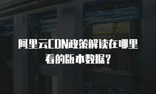 阿里云CDN政策解读在哪里看的版本数据？