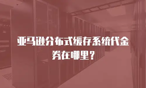 亚马逊分布式缓存系统代金券在哪里？