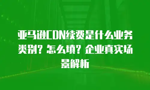 亚马逊CDN续费是什么业务类别？怎么填？企业真实场景解析