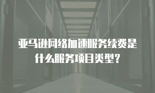 亚马逊网络加速服务续费是什么服务项目类型？