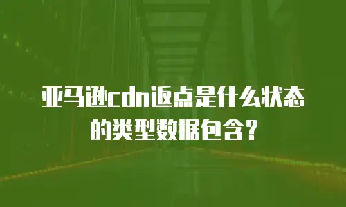 亚马逊cdn返点是什么状态的类型数据包含？