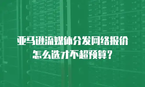 亚马逊流媒体分发网络报价怎么选才不超预算？