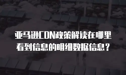 亚马逊CDN政策解读在哪里看到信息的明细数据信息？