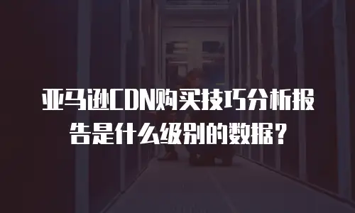 亚马逊CDN购买技巧分析报告是什么级别的数据？