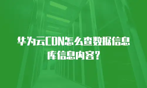 华为云CDN怎么查数据信息库信息内容？