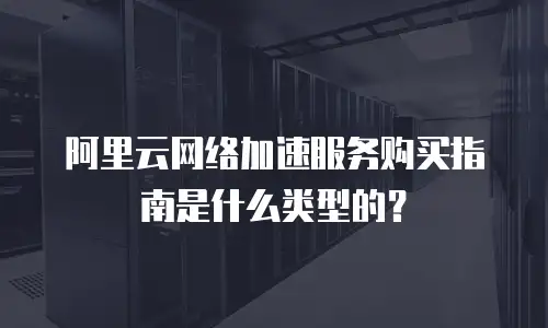 阿里云网络加速服务购买指南是什么类型的？