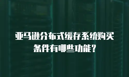 亚马逊分布式缓存系统购买条件有哪些功能？