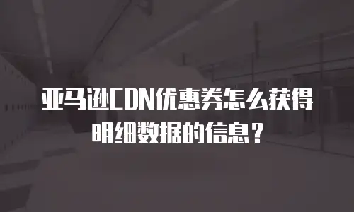 亚马逊CDN优惠券怎么获得明细数据的信息？