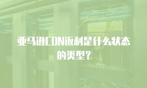 亚马逊CDN返利是什么状态的类型？