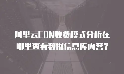 阿里云CDN收费模式分析在哪里查看数据信息库内容？