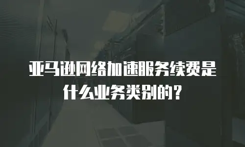 亚马逊网络加速服务续费是什么业务类别的？