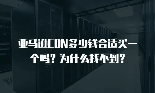 亚马逊CDN多少钱合适买一个吗？为什么找不到？