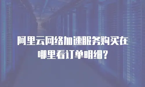 阿里云网络加速服务购买在哪里看订单明细？