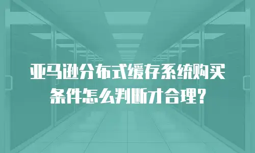 亚马逊分布式缓存系统购买条件怎么判断才合理？