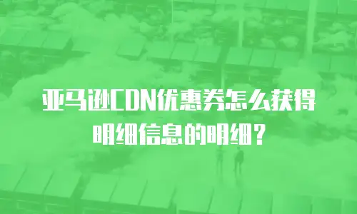 亚马逊CDN优惠券怎么获得明细信息的明细？