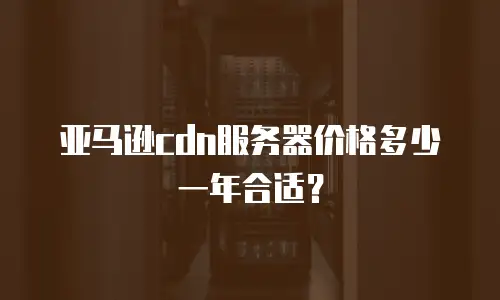 亚马逊cdn服务器价格多少一年合适？