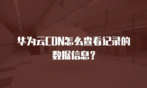华为云CDN怎么查看记录的数据信息？