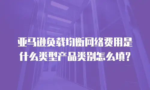 亚马逊负载均衡网络费用是什么类型产品类别怎么填？