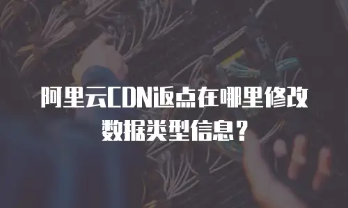 阿里云CDN返点在哪里修改数据类型信息？