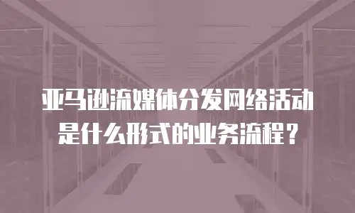 亚马逊流媒体分发网络活动是什么形式的业务流程？
